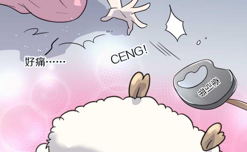 毛球星传说 第39集47