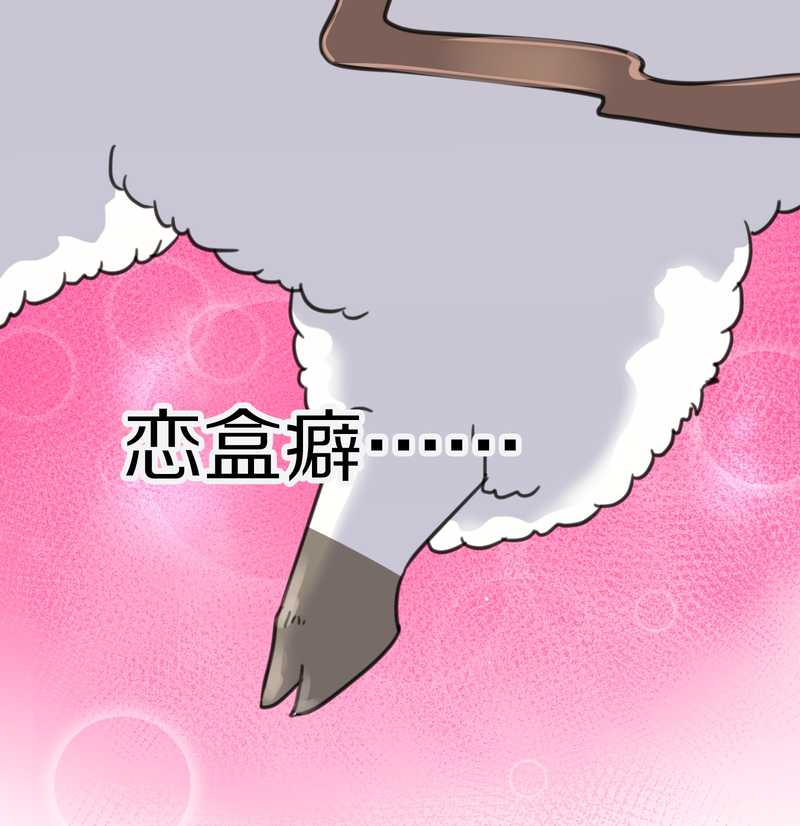 毛球星传说 第39集54