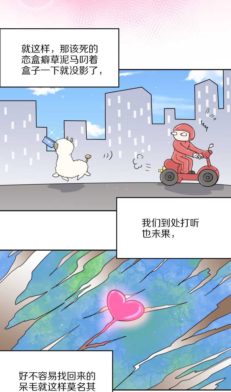毛球星传说 第39集55