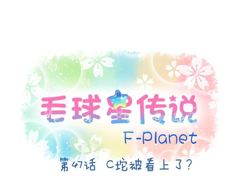 毛球星传说 第47集1