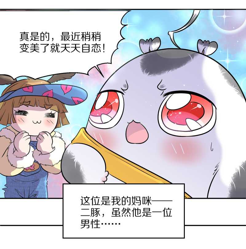 毛球星传说 第47集11