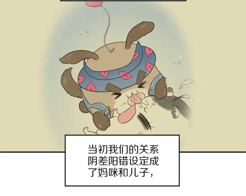 毛球星传说 第47集15