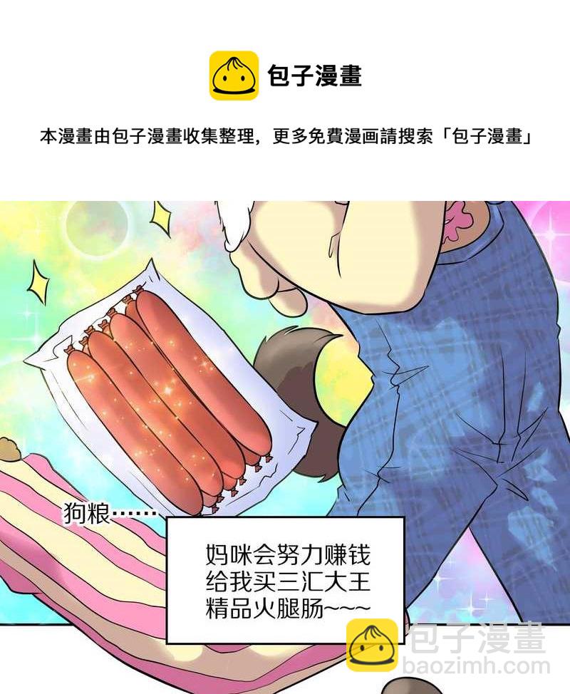 毛球星传说 第47集24