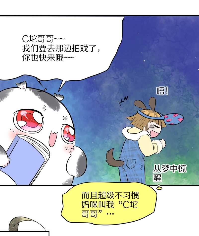 毛球星传说 第47集35