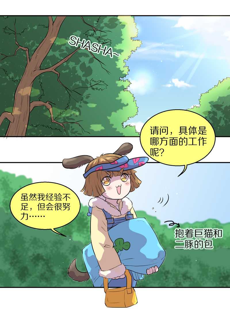毛球星传说 第47集46