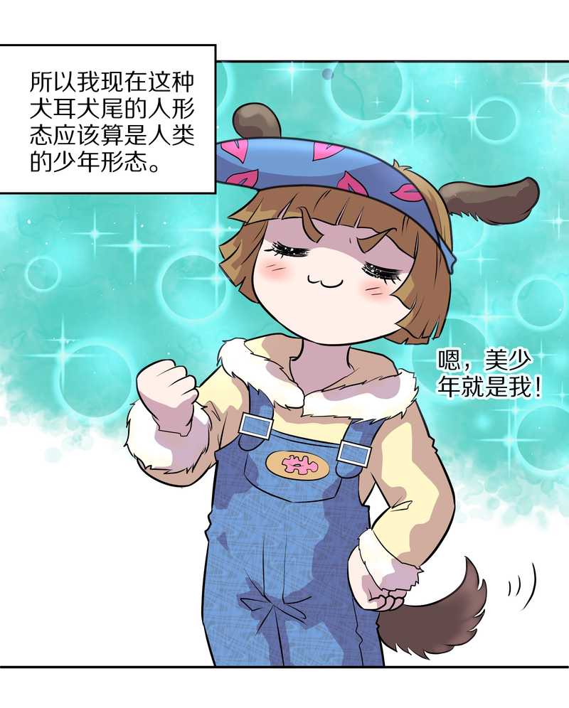 毛球星传说 第47集7