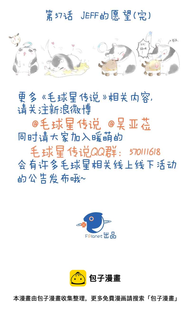 毛球星传说 第57集100