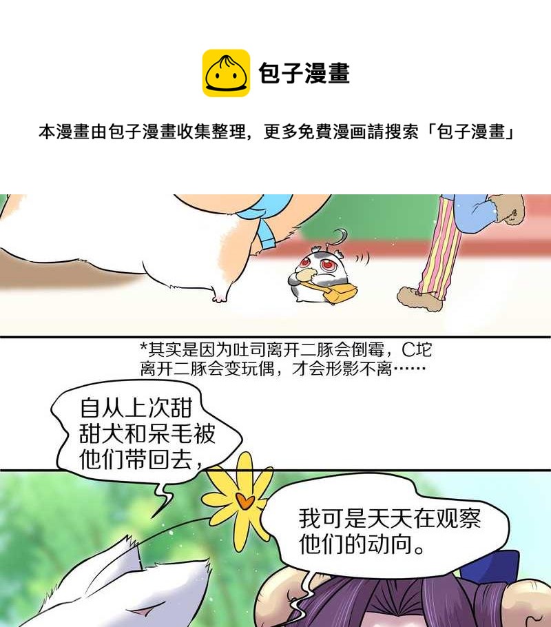 毛球星传说 第57集12
