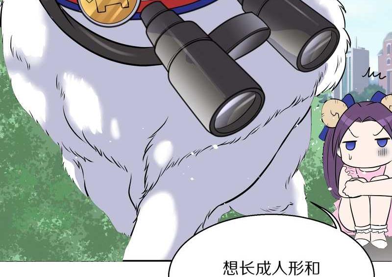 毛球星传说 第57集22
