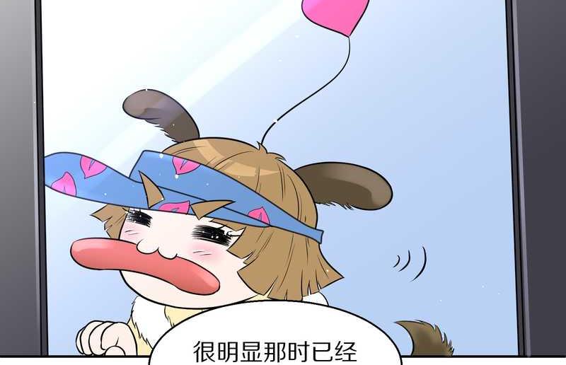 毛球星传说 第57集27