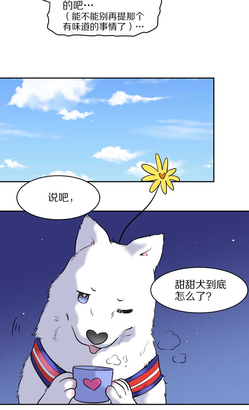 毛球星传说 第57集29