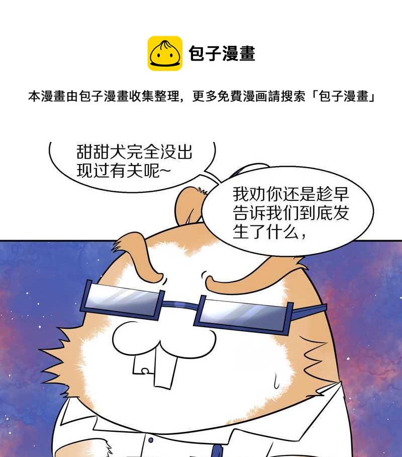 毛球星传说 第57集32