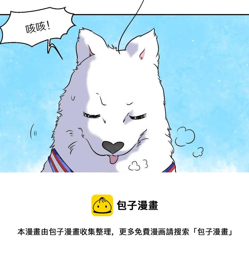 毛球星传说 第57集44
