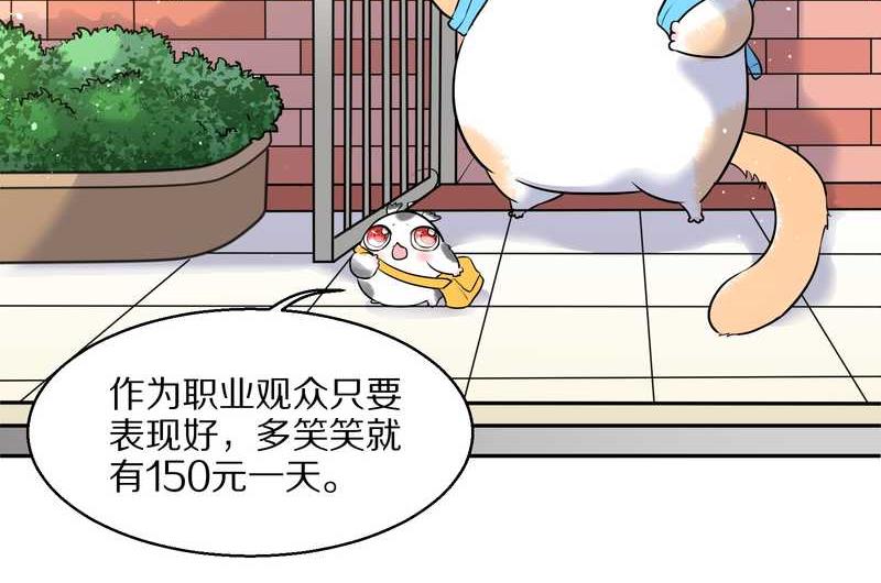 毛球星传说 第57集5