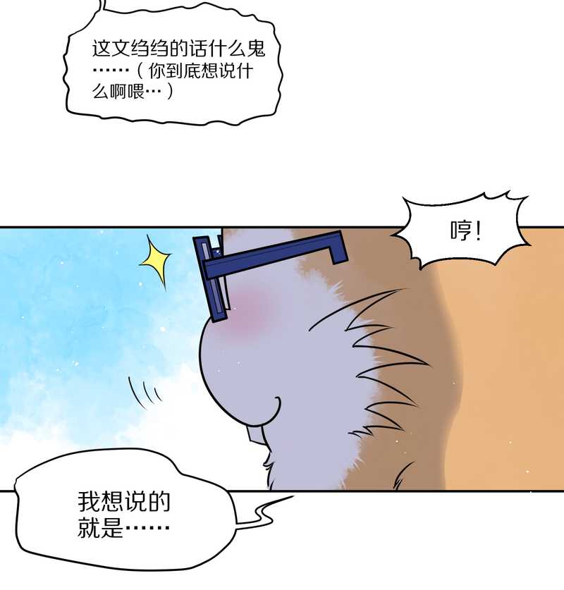 毛球星传说 第57集54