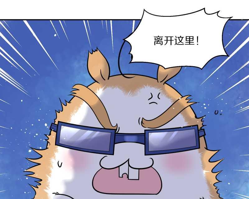 毛球星传说 第57集55