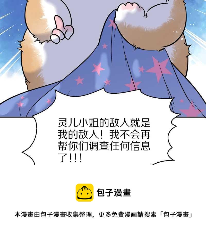 毛球星传说 第57集56
