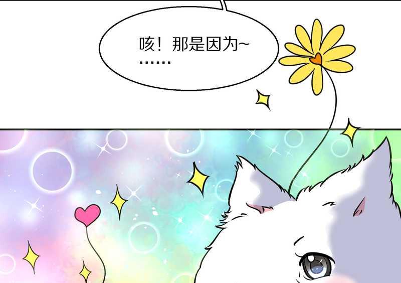 毛球星传说 第57集62