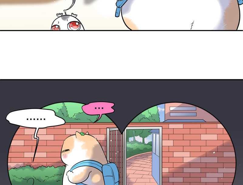 毛球星传说 第57集7