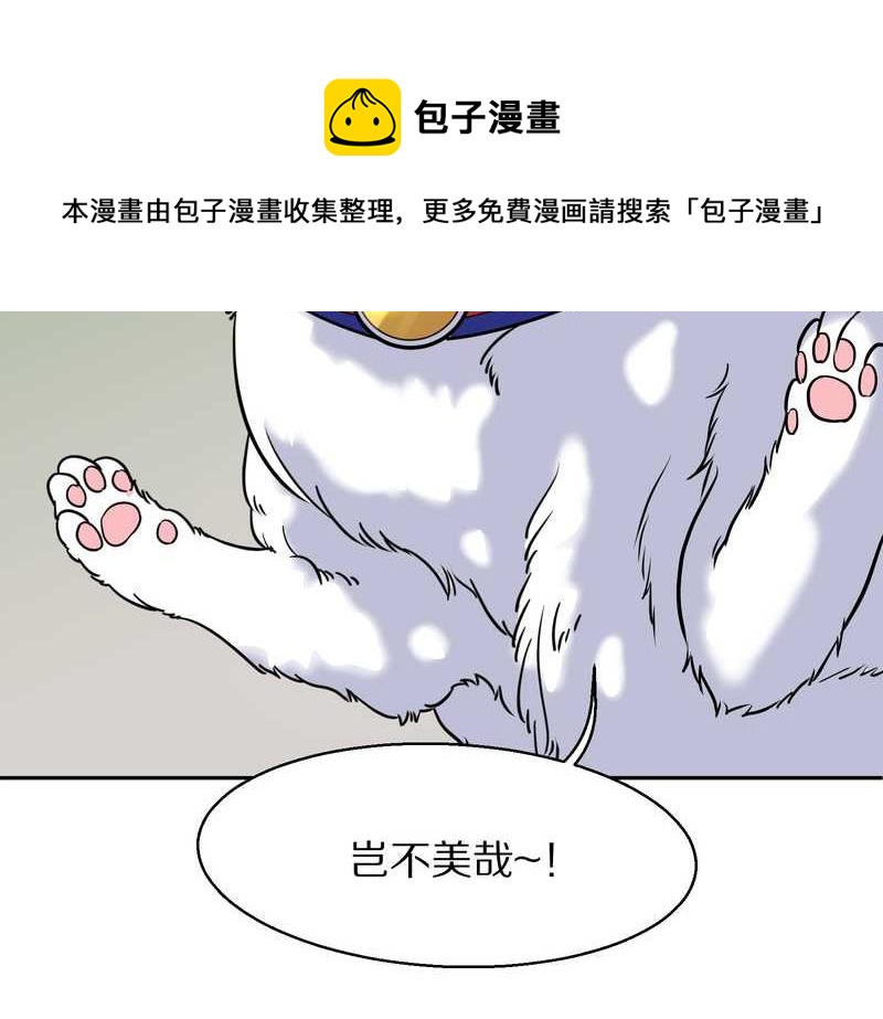 毛球星传说 第57集72