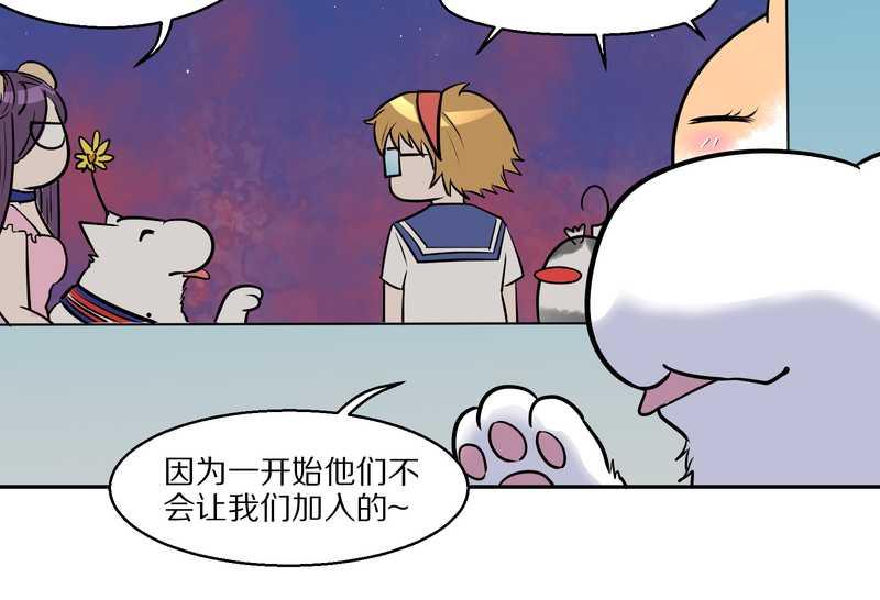 毛球星传说 第57集75
