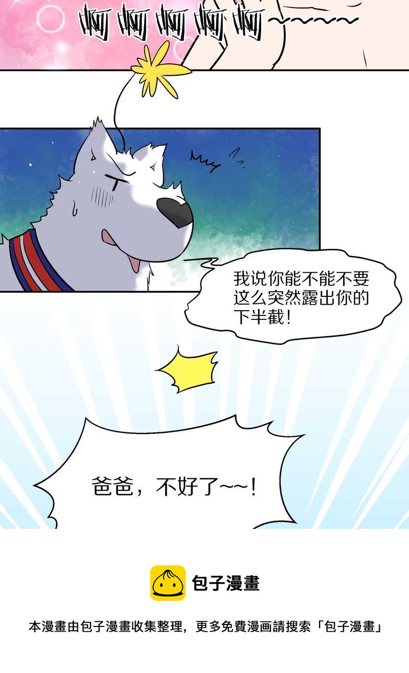 毛球星传说 第57集88