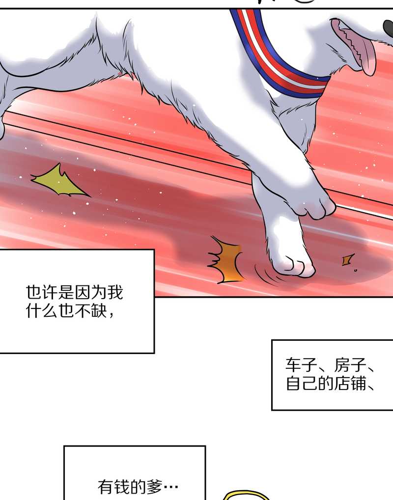 毛球星传说 第57集94