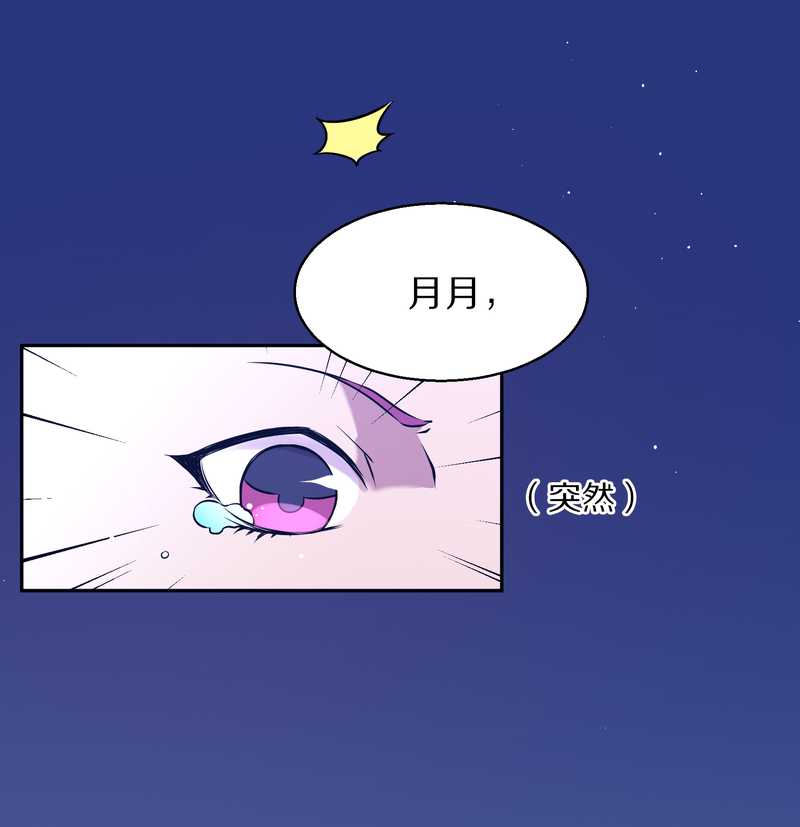 毛球星传说 第75集43