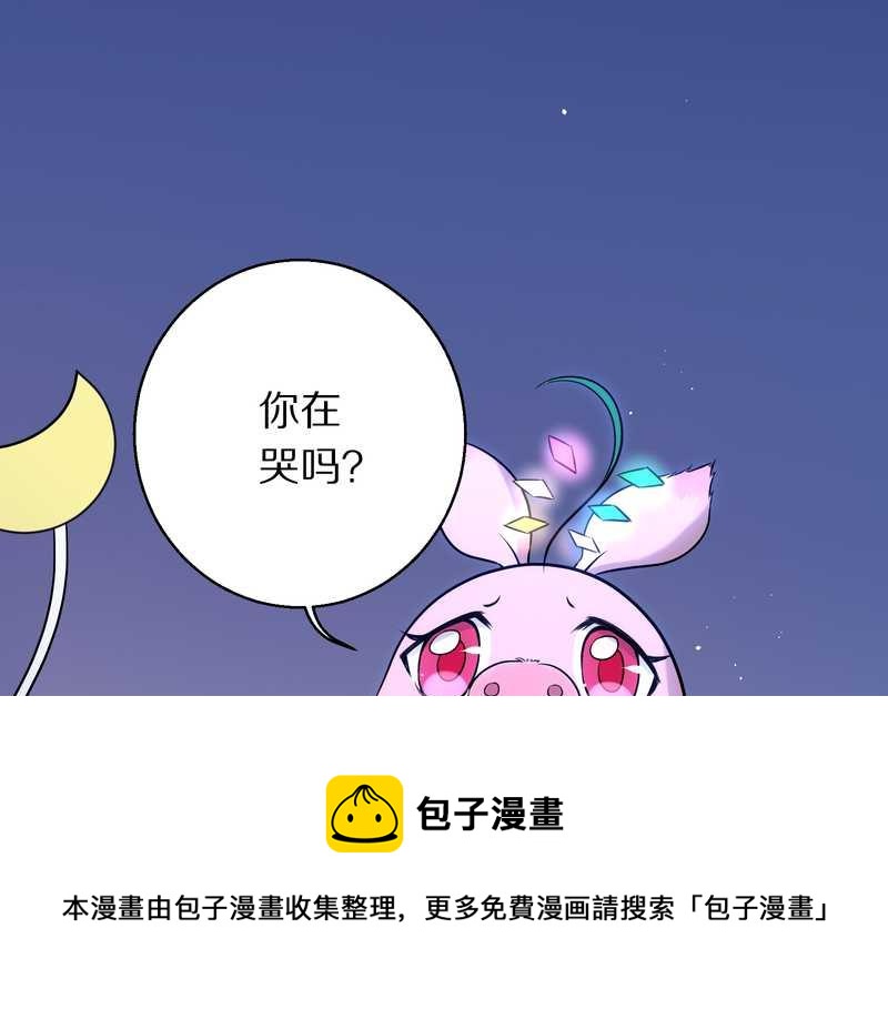 毛球星传说 第75集44