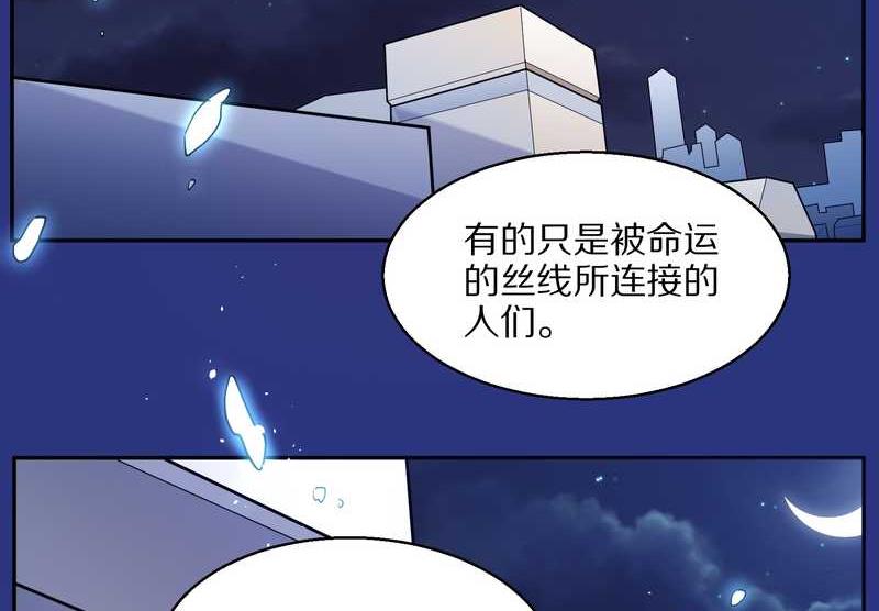 毛球星传说 第75集75