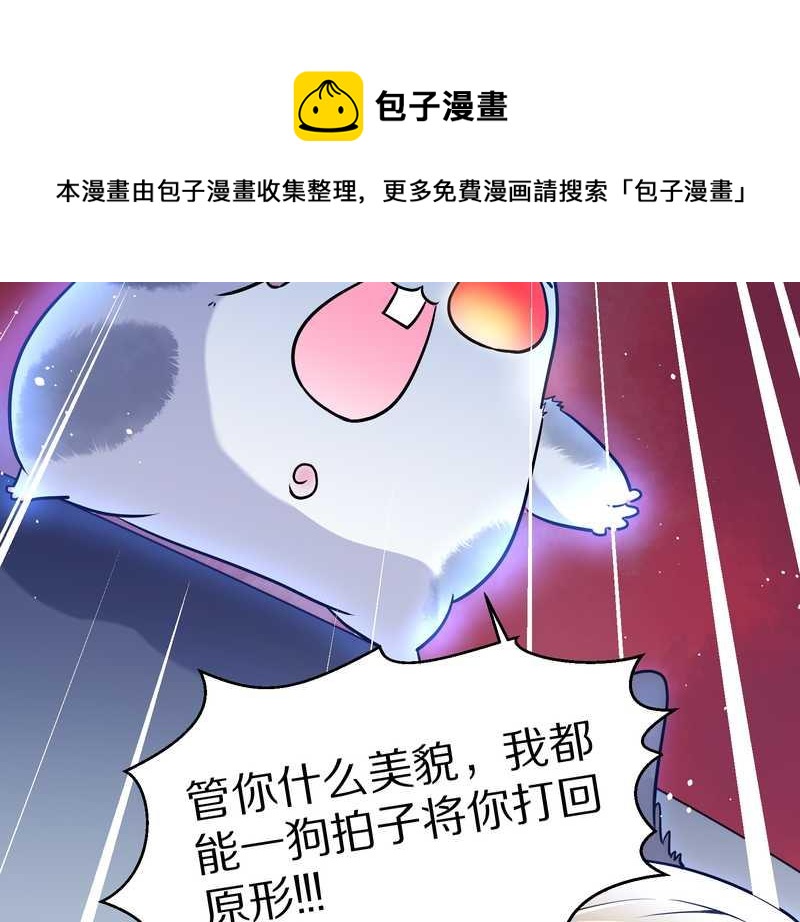 毛球星传说 第77集12