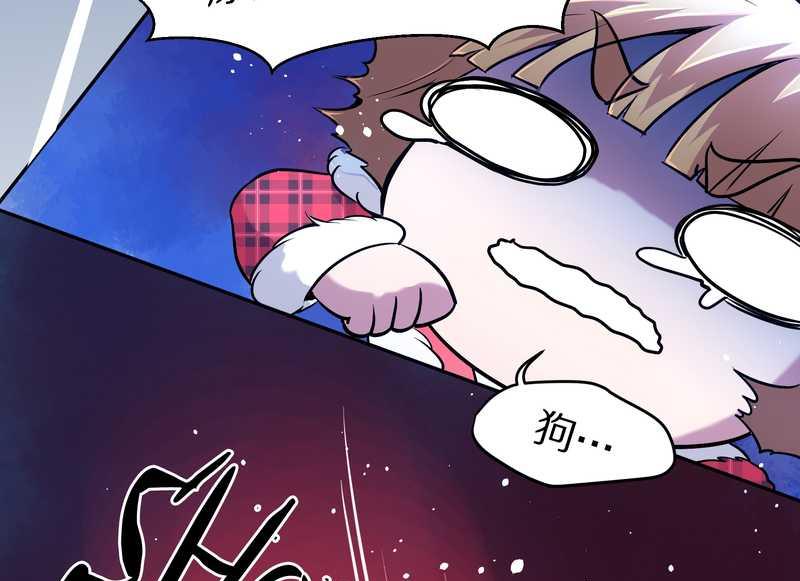 毛球星传说 第77集13