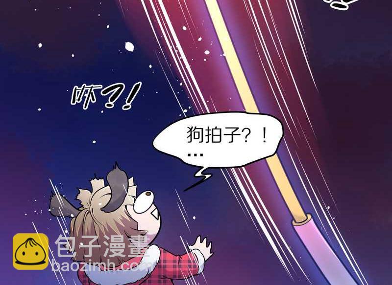 毛球星传说 第77集15
