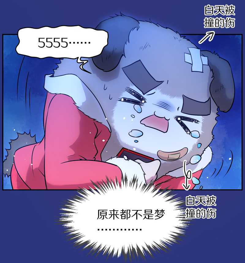 毛球星传说 第77集23