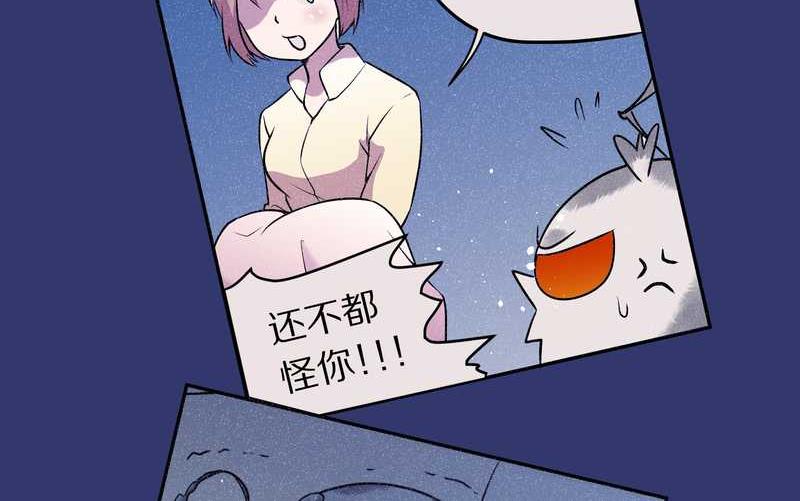 毛球星传说 第77集49