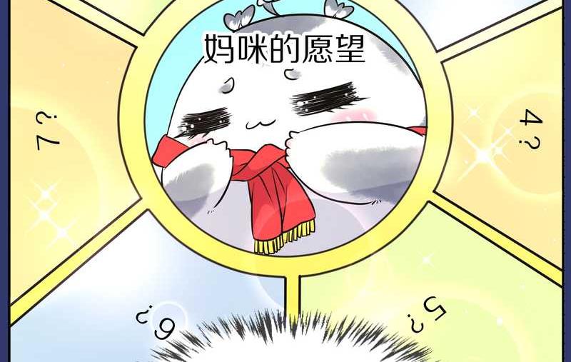 毛球星传说 第77集50