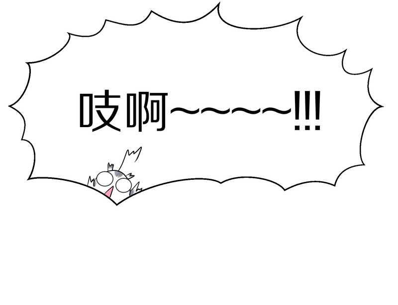 毛球星传说 第77集59