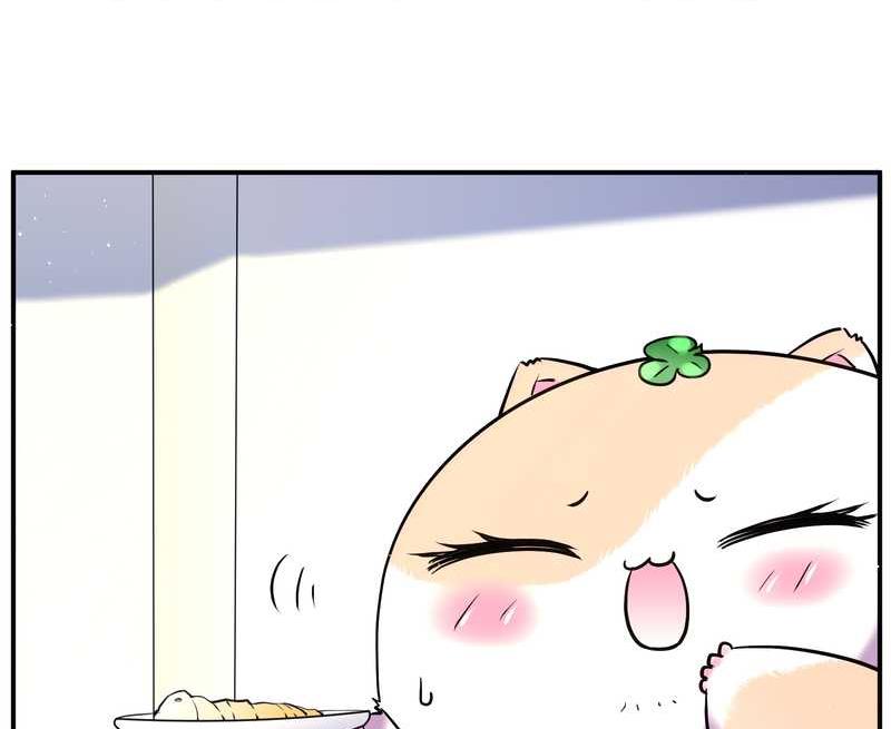 毛球星传说 第88集13