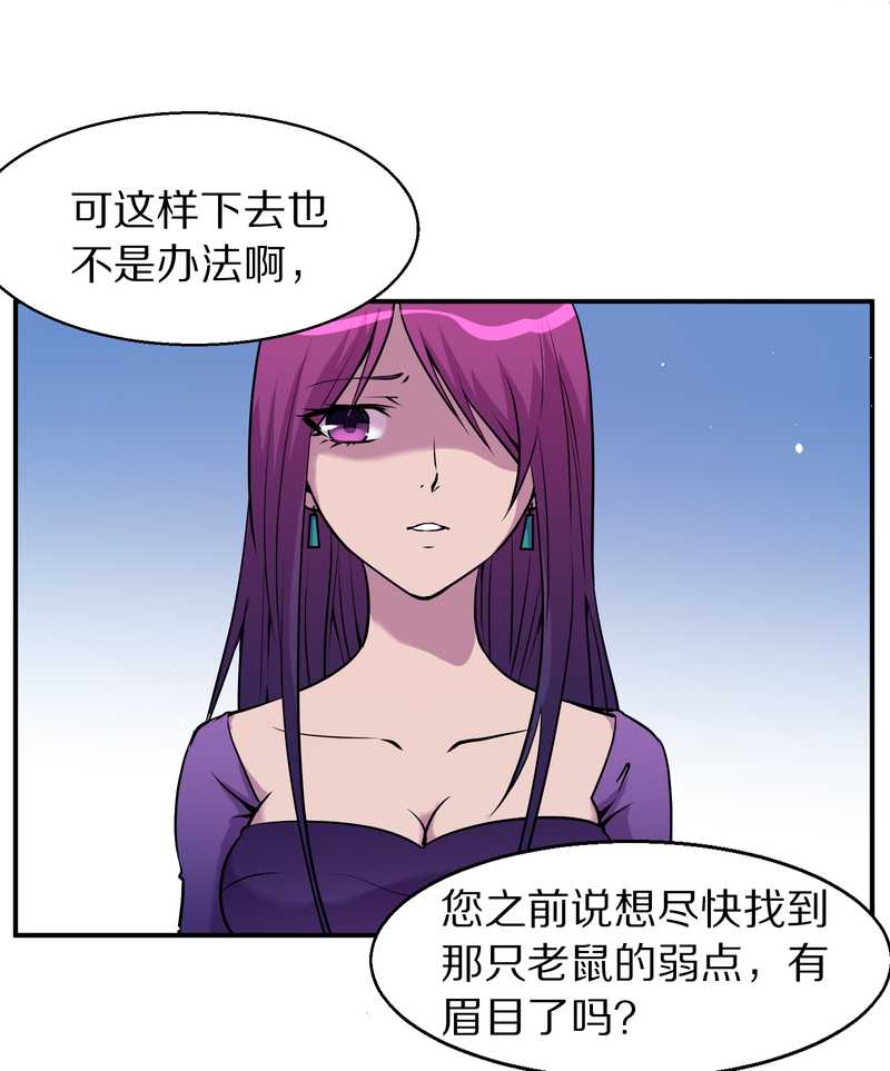 毛球星传说 第88集18