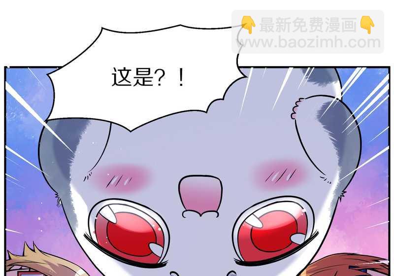 毛球星传说 第88集27