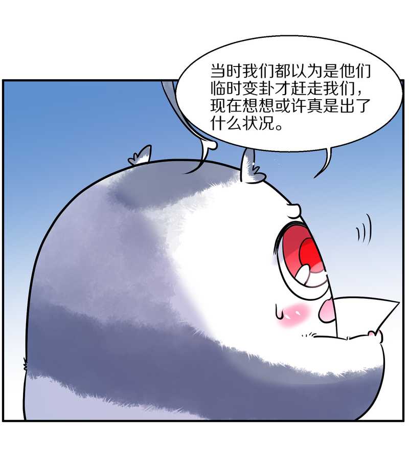 毛球星传说 第88集34