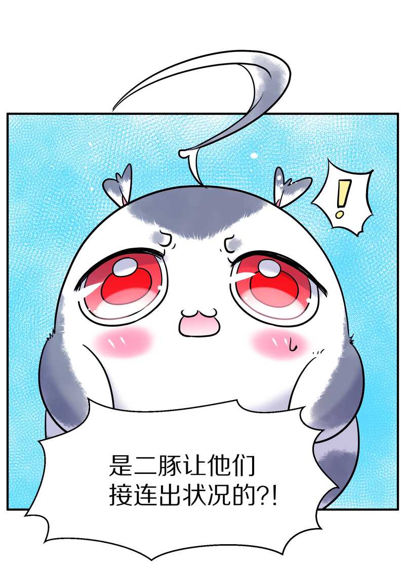 毛球星传说 第88集37