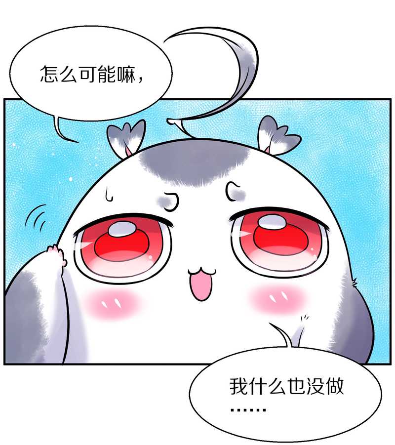 毛球星传说 第88集38