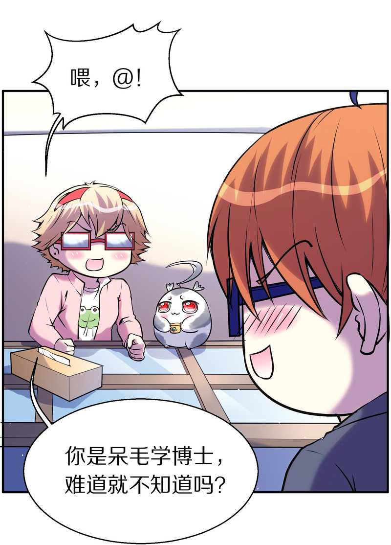 毛球星传说 第88集41