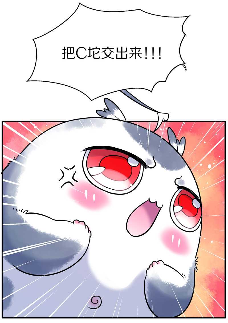 毛球星传说 第88集5