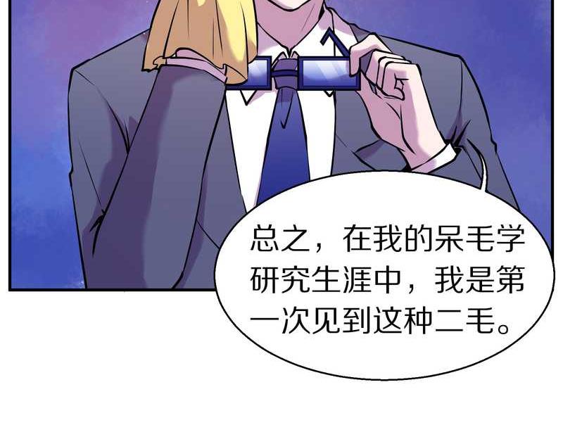 毛球星传说 第88集55