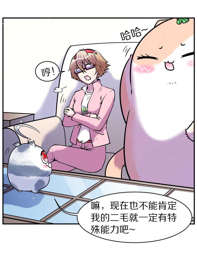 毛球星传说 第88集57