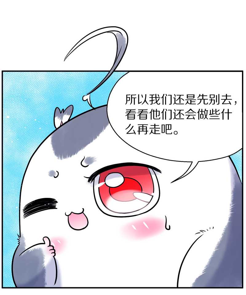 毛球星传说 第88集69