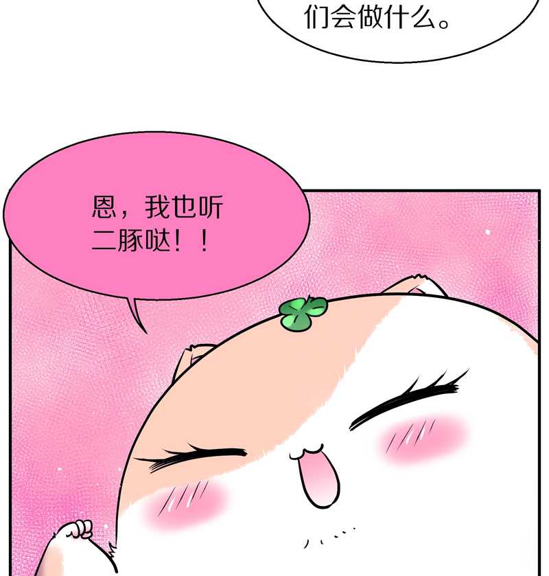 毛球星传说 第88集71
