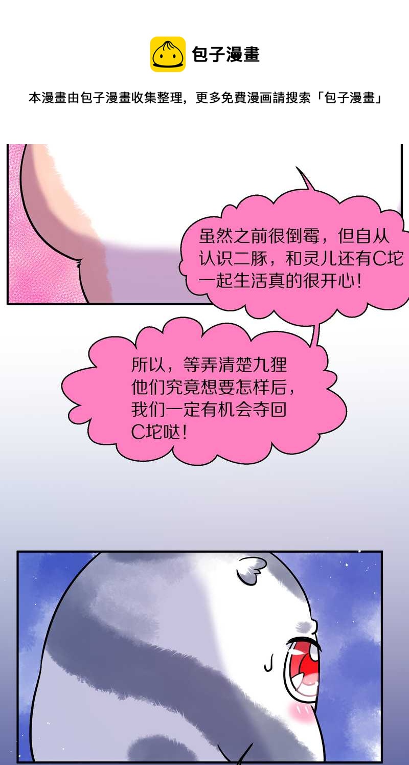 毛球星传说 第88集72